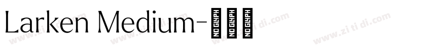Larken Medium字体转换